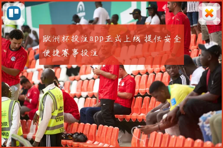 欧洲杯投注app正式上线 提供安全便捷赛事投注