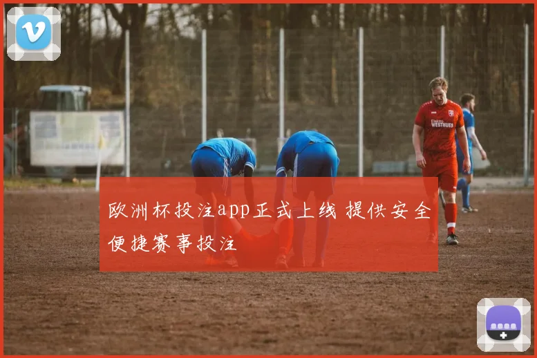 欧洲杯投注app正式上线 提供安全便捷赛事投注