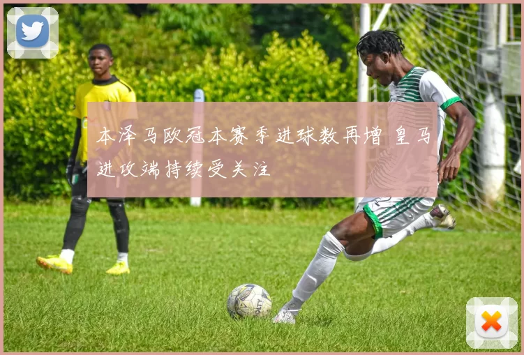 本泽马欧冠本赛季进球数再增 皇马进攻端持续受关注