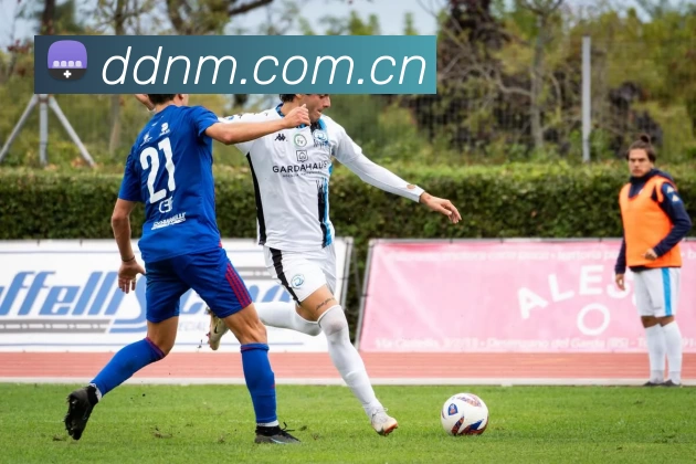 星空官网免费入口品牌故事