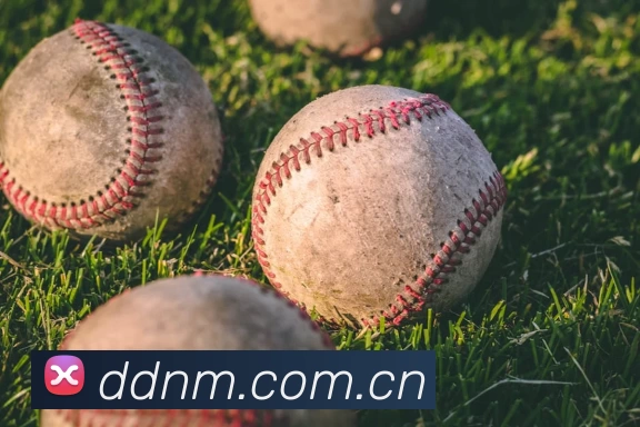 星空官网免费入口服务体系